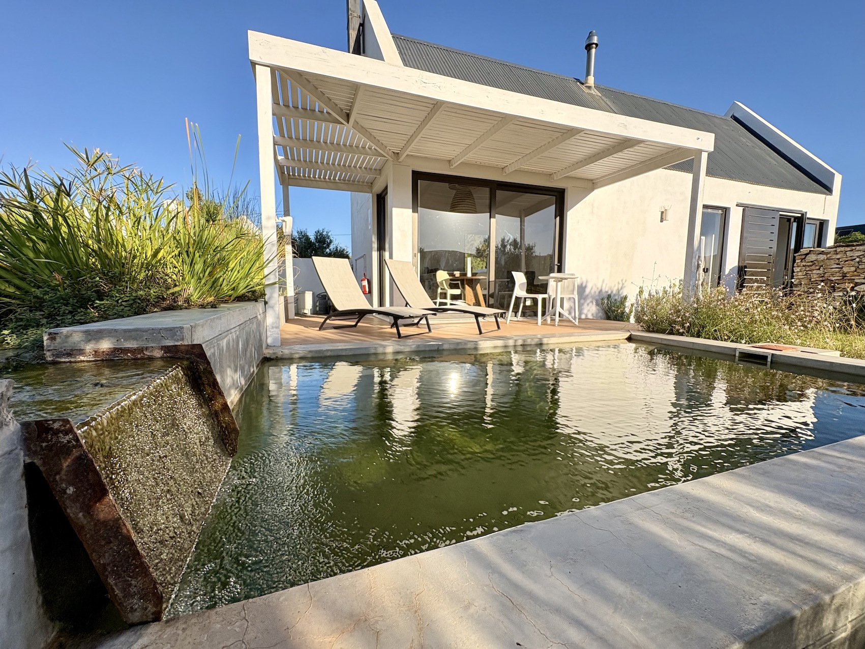 Fairy Flycatcher pool view